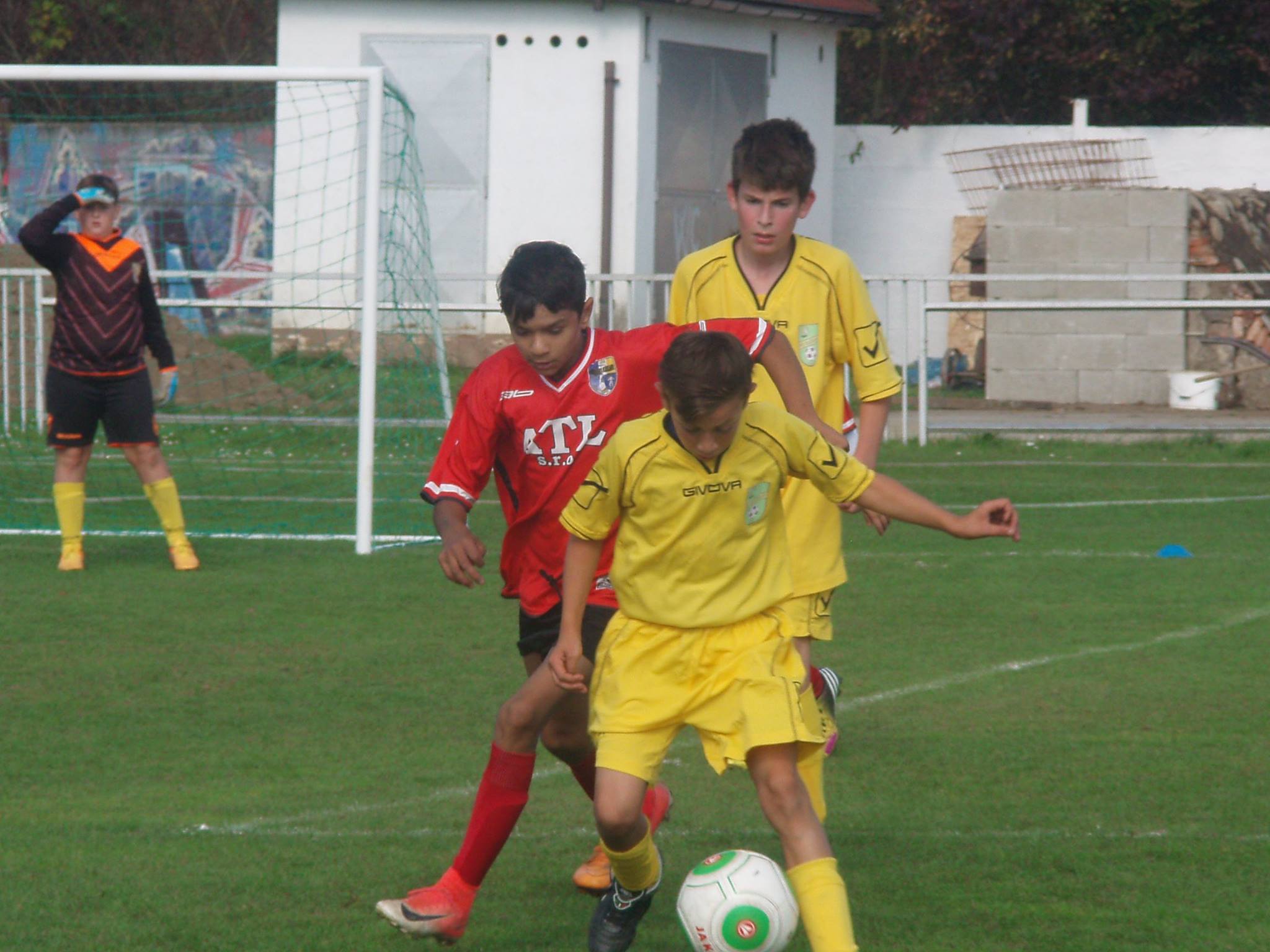 0b5a0568 ead5 48ad ace3 25f1767f9e66